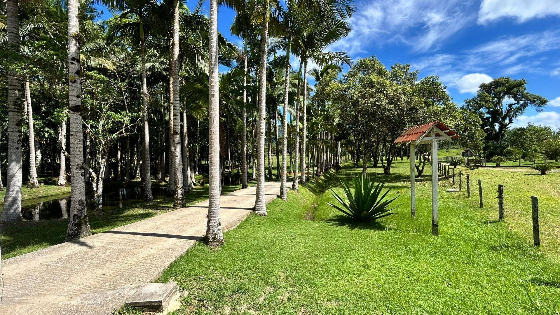 Chácara, 2 hectares - Foto 90