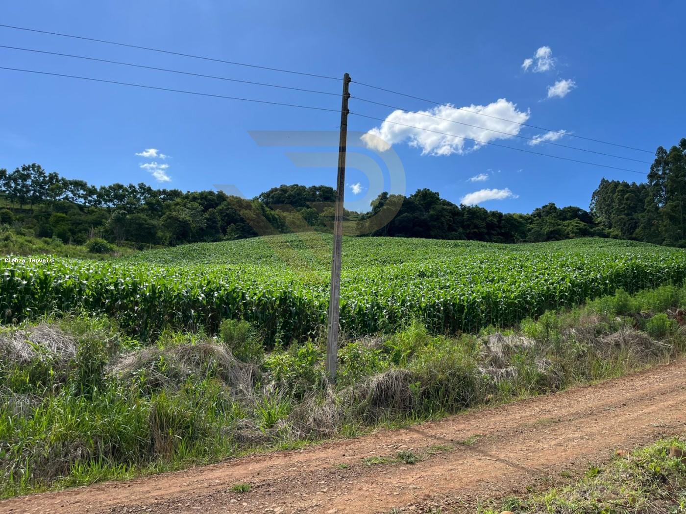 Loteamento e Condomínio, 4 hectares - Foto 2