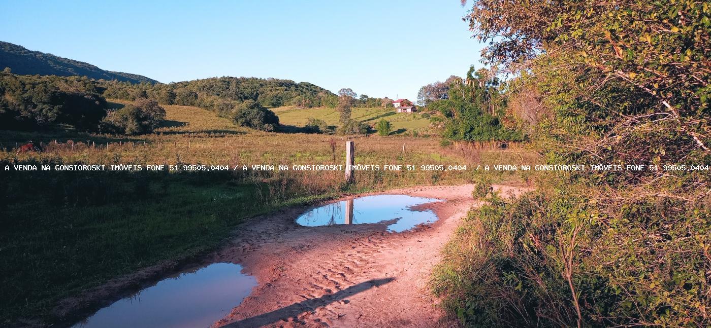 Fazenda à venda com 3 quartos, 55000m² - Foto 18