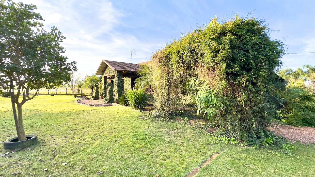 Sítio à venda com 2 quartos, 30000m² - Foto 36