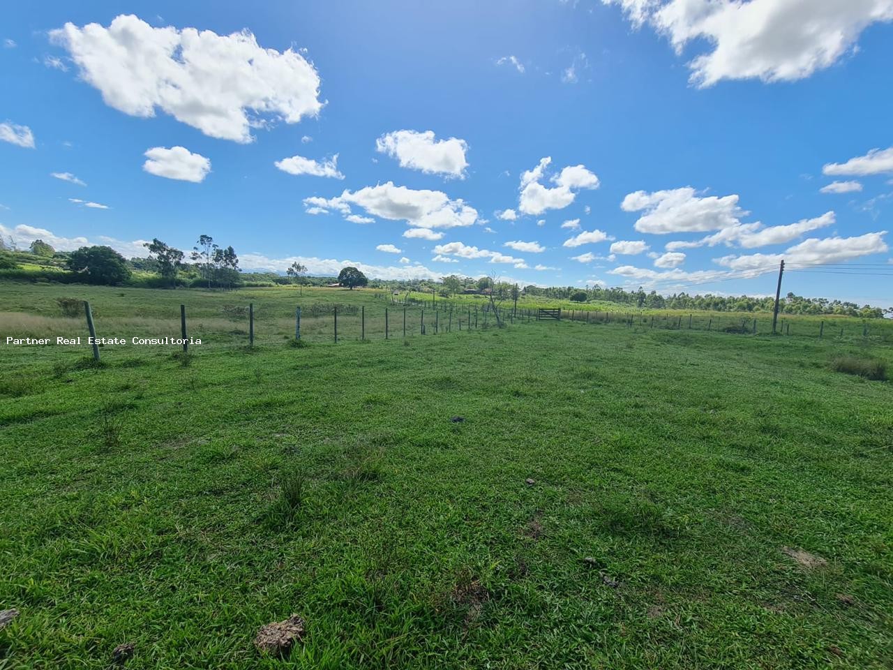 Fazenda à venda com 3 quartos, 52m² - Foto 22
