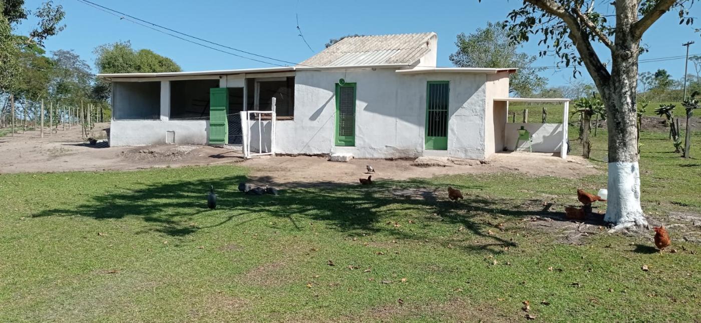 Fazenda à venda com 3 quartos, 80000m² - Foto 14