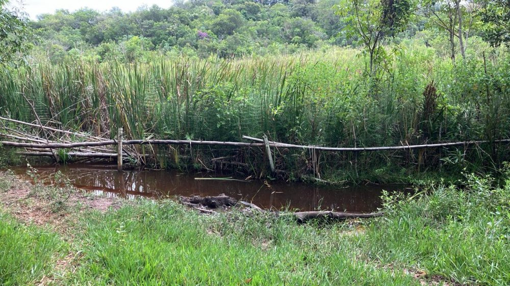 Fazenda-Sítio-Chácara, 6 hectares - Foto 4