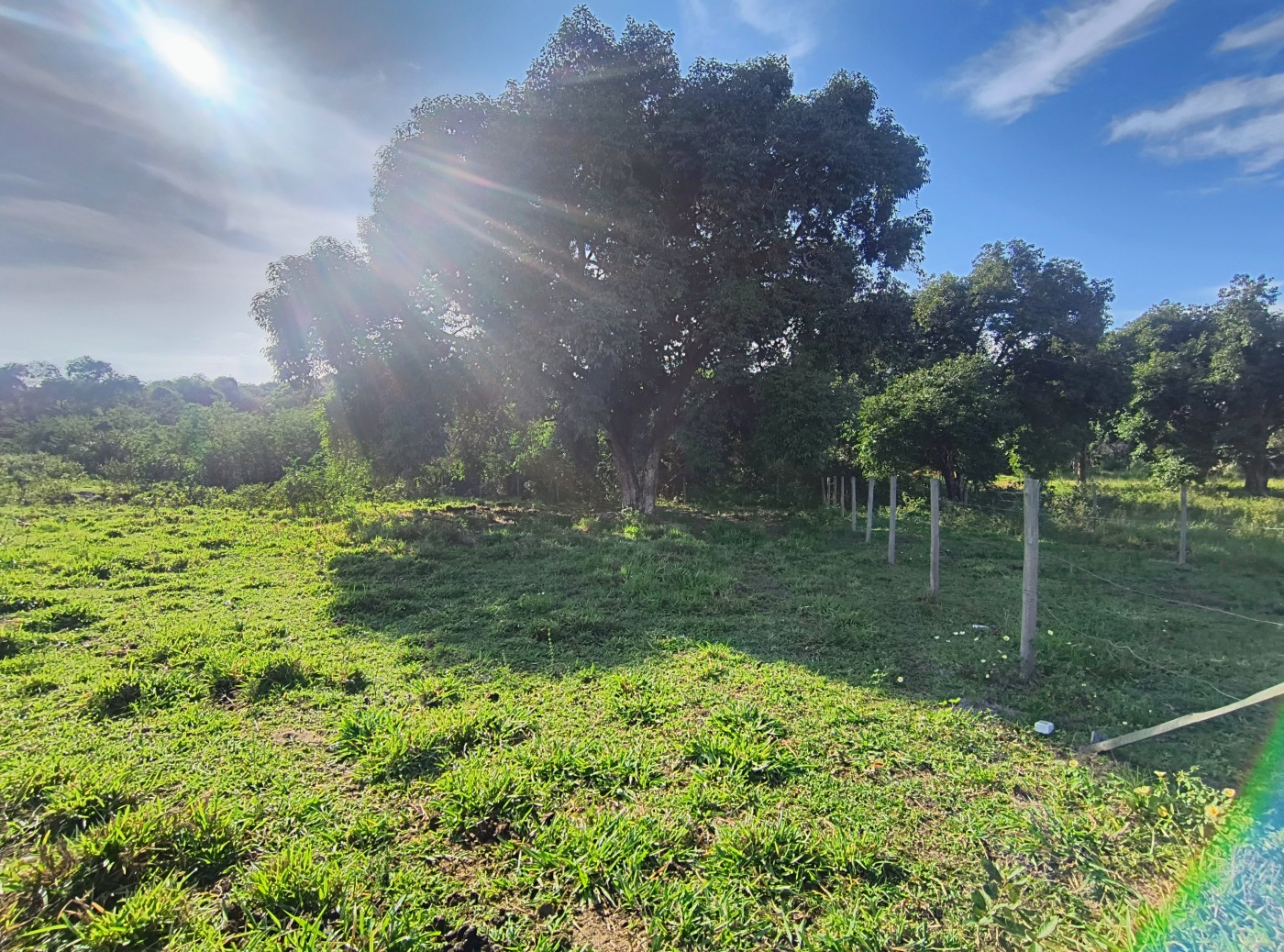 Terreno à venda, 2350m² - Foto 1