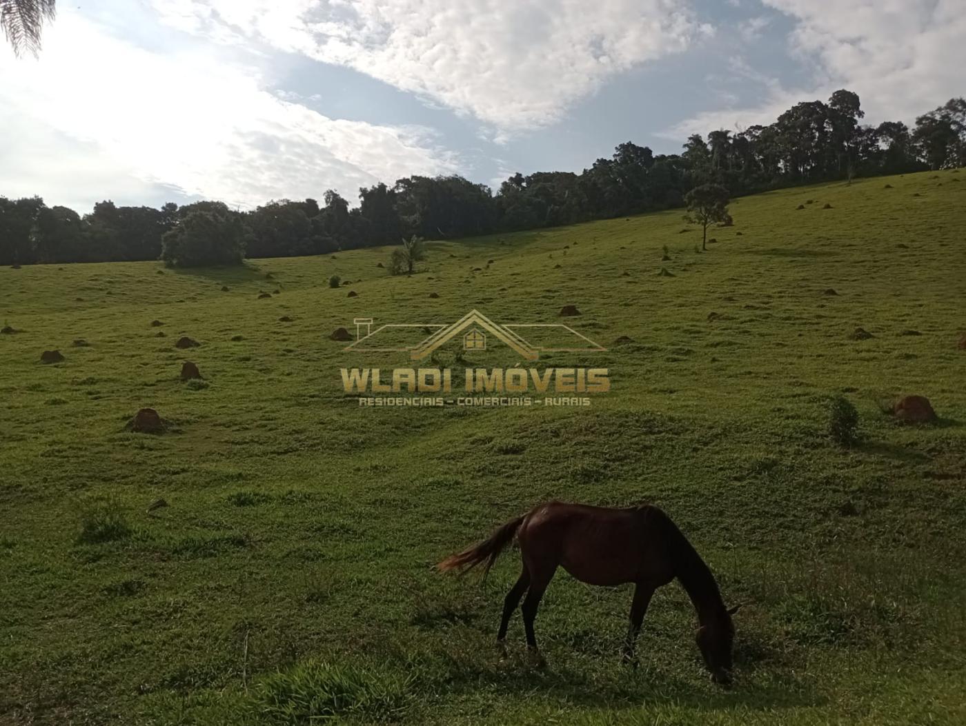 Fazenda à venda com 4 quartos, 7m² - Foto 14