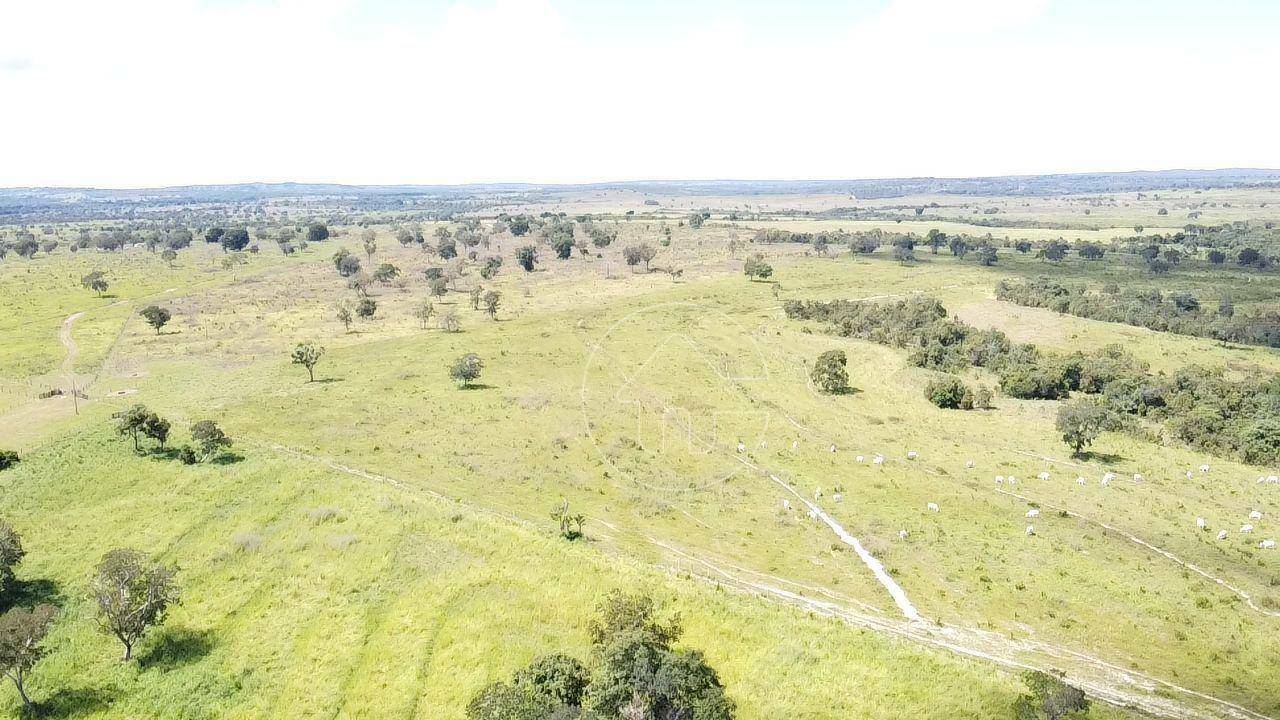 Fazenda à venda, 9970000M2 - Foto 29