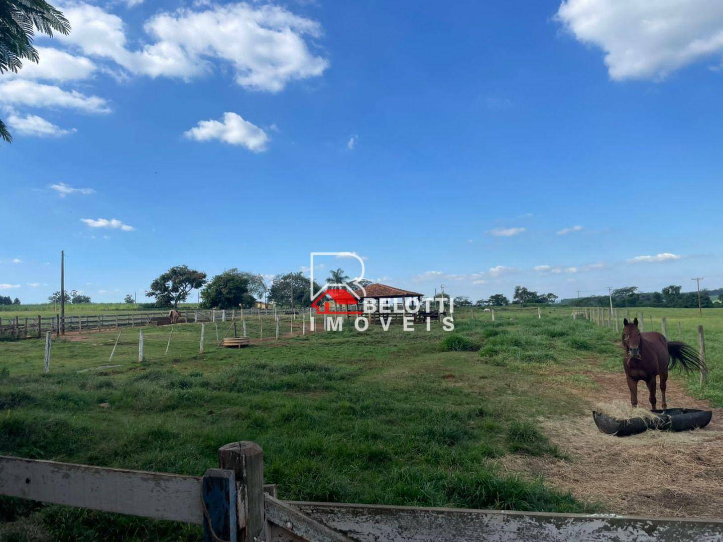 Fazenda à venda, 556600M2 - Foto 2