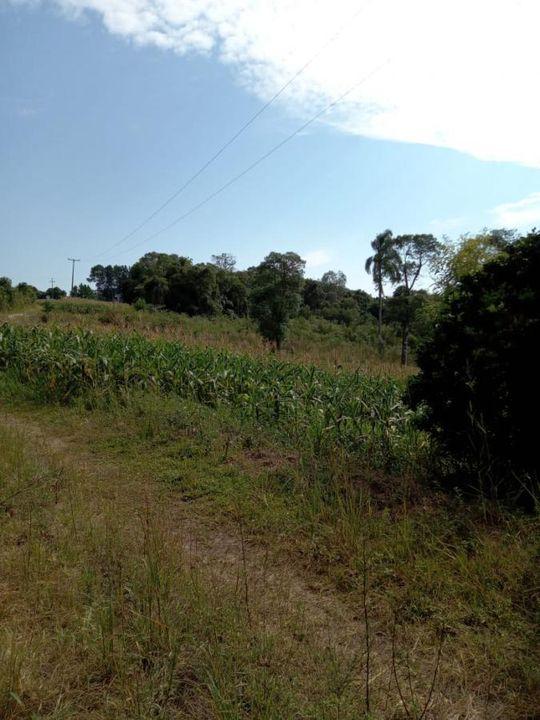 Fazenda à venda com 3 quartos, 130000m² - Foto 16