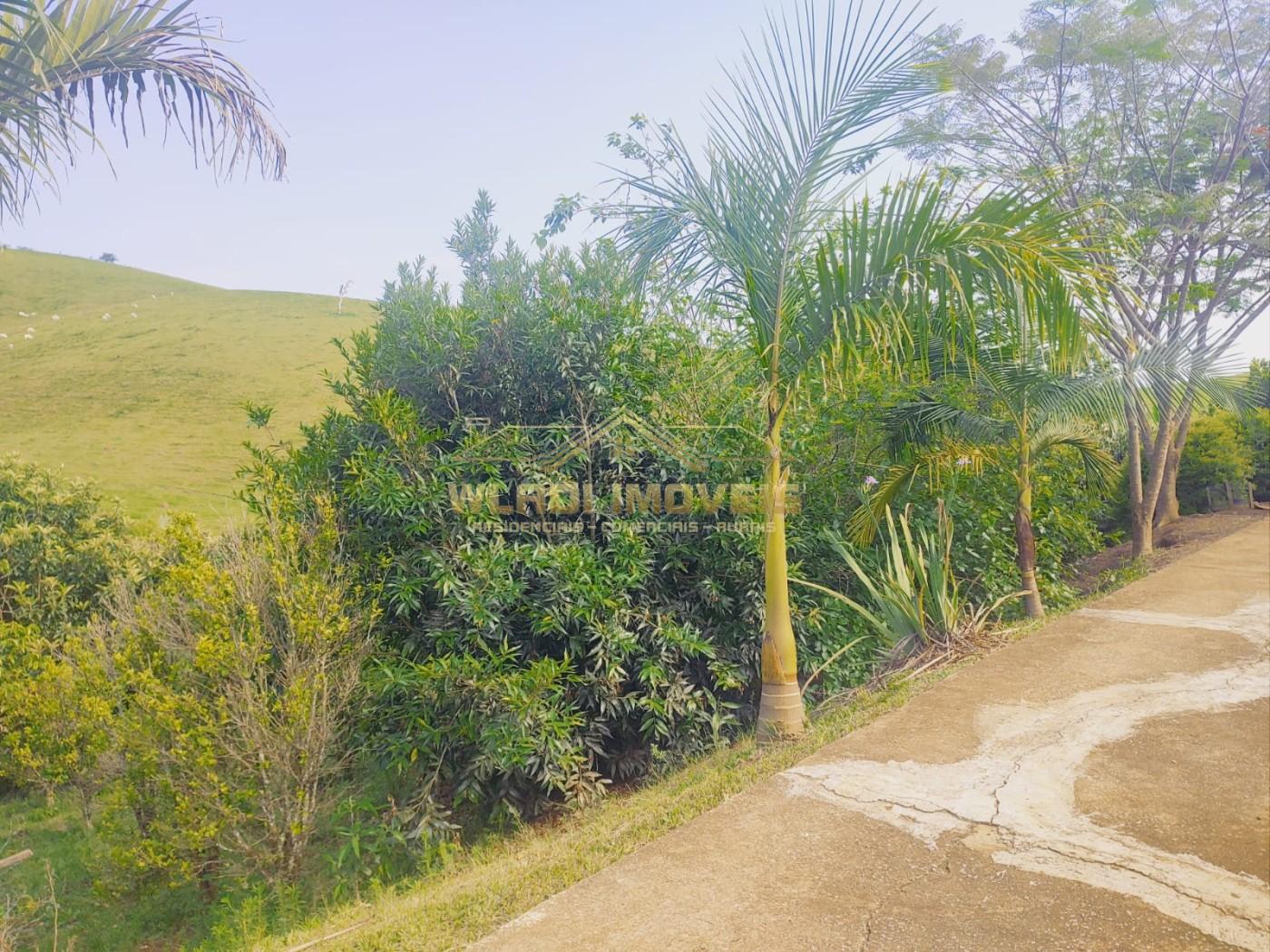Chácara à venda, 12100m² - Foto 8