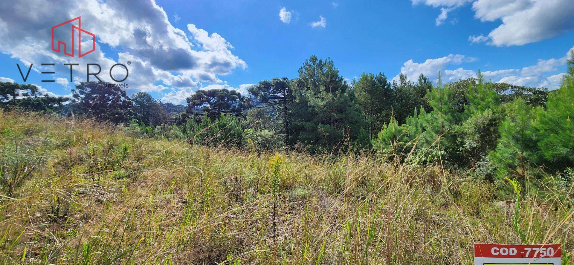 Loteamento e Condomínio à venda, 450M2 - Foto 2