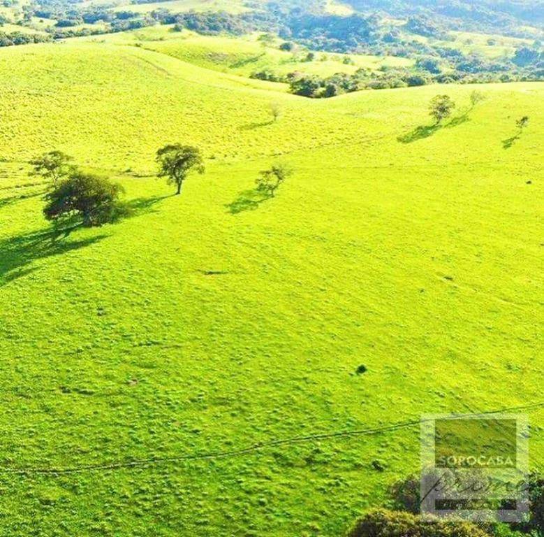 Fazenda à venda, 6050000M2 - Foto 4