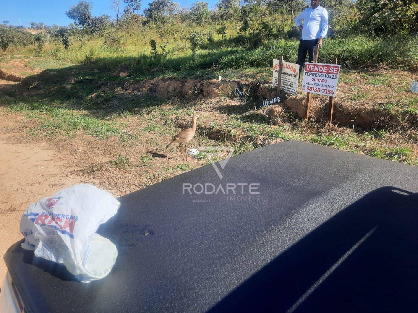 Terreno, 250 m² - Foto 5