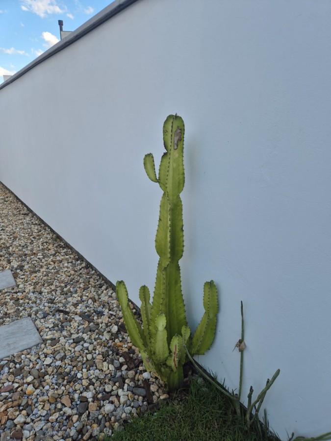 Casa de Condomínio, 3 quartos - Foto 21