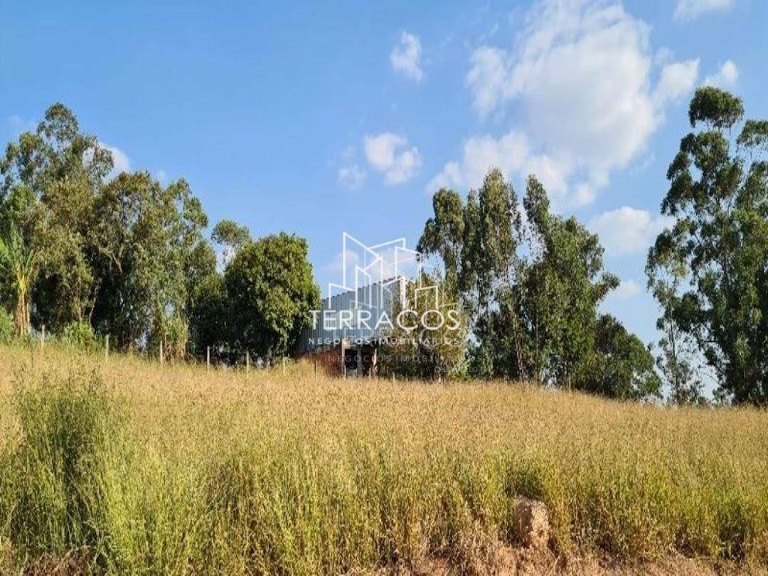 Terreno, 2462 m² - Foto 4