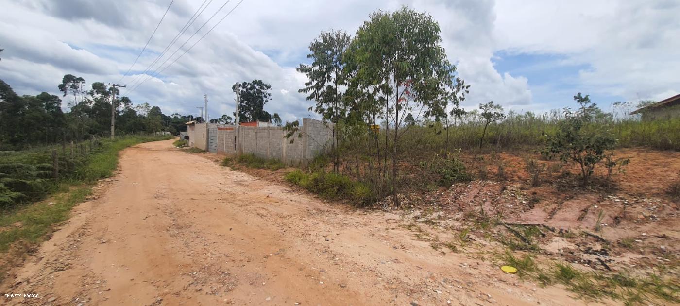 Fazenda à venda, 1000m² - Foto 4