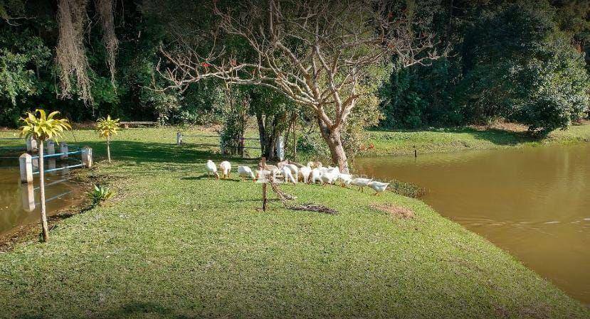 Loteamento e Condomínio à venda, 632M2 - Foto 10