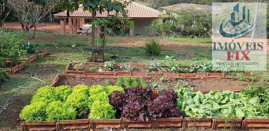 Fazenda à venda com 8 quartos, 49000m² - Foto 32