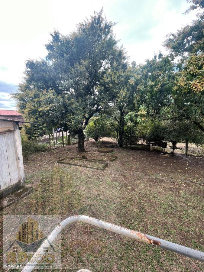 Fazenda à venda com 3 quartos, 2195m² - Foto 5