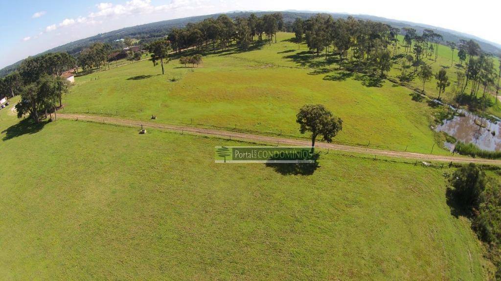 Fazenda à venda com 3 quartos, 1600m² - Foto 2