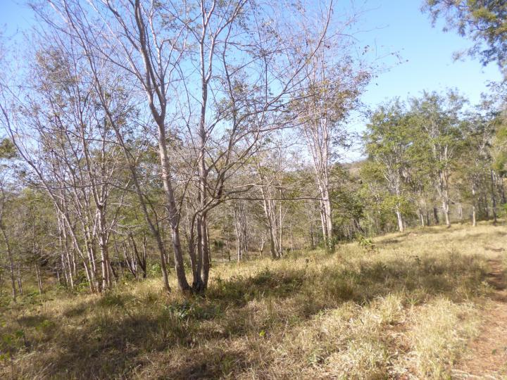 Fazenda à venda - Foto 12