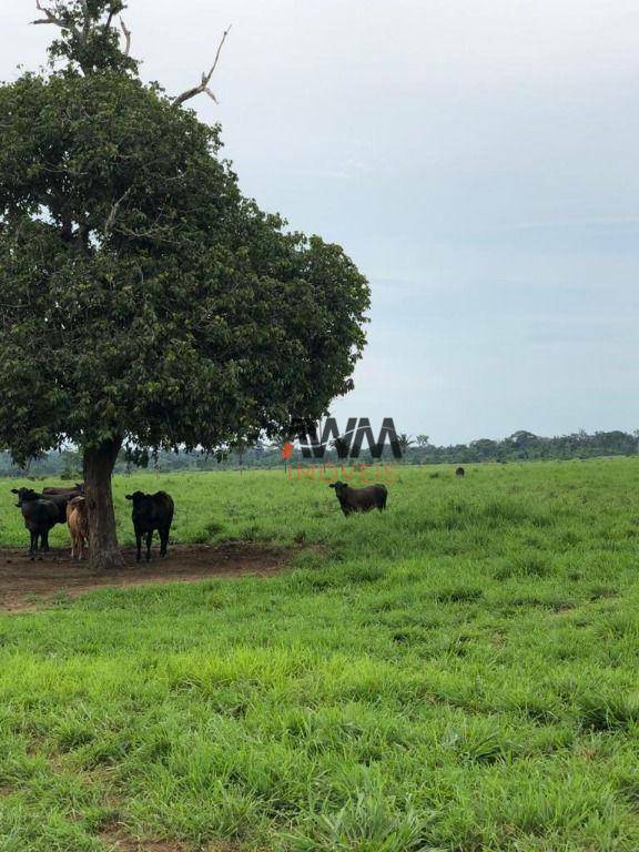 Fazenda à venda, 51691200M2 - Foto 6