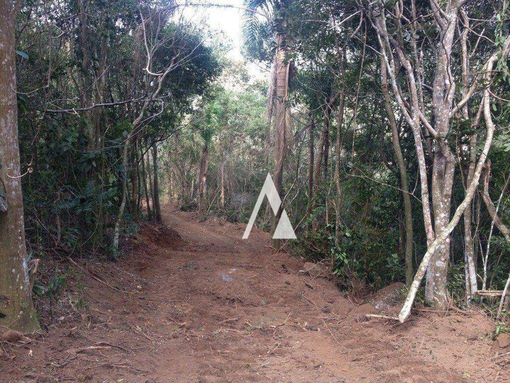 Terreno à venda, 20000M2 - Foto 10