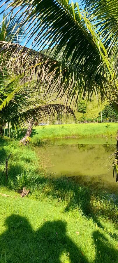 Fazenda à venda com 2 quartos, 18000m² - Foto 7