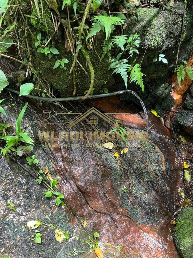 Fazenda-Sítio-Chácara, 90 m² - Foto 15