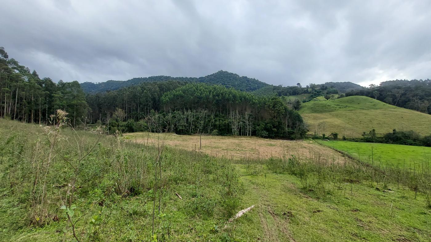 Fazenda à venda, 100000m² - Foto 17