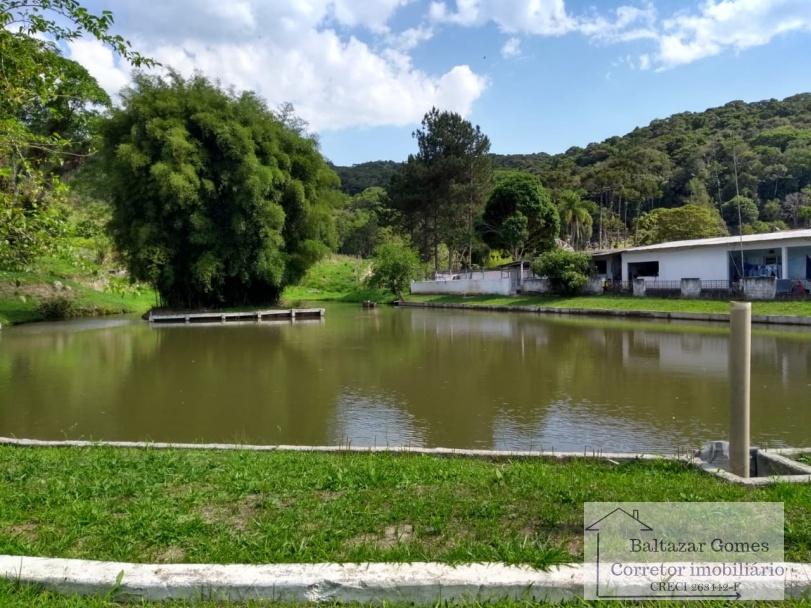 Fazenda à venda com 3 quartos, 150000m² - Foto 6