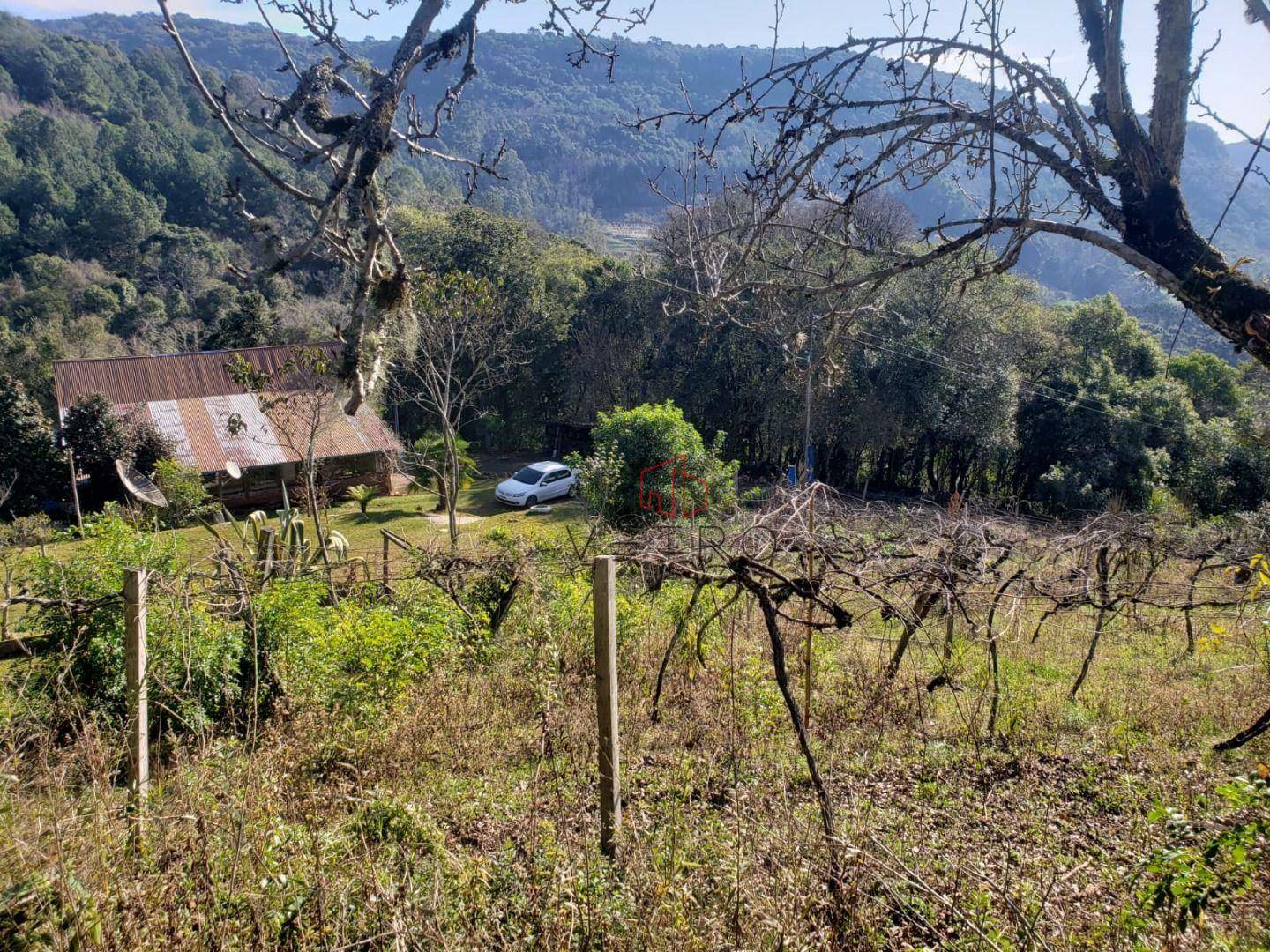 Sítio à venda com 4 quartos, 90650M2 - Foto 19