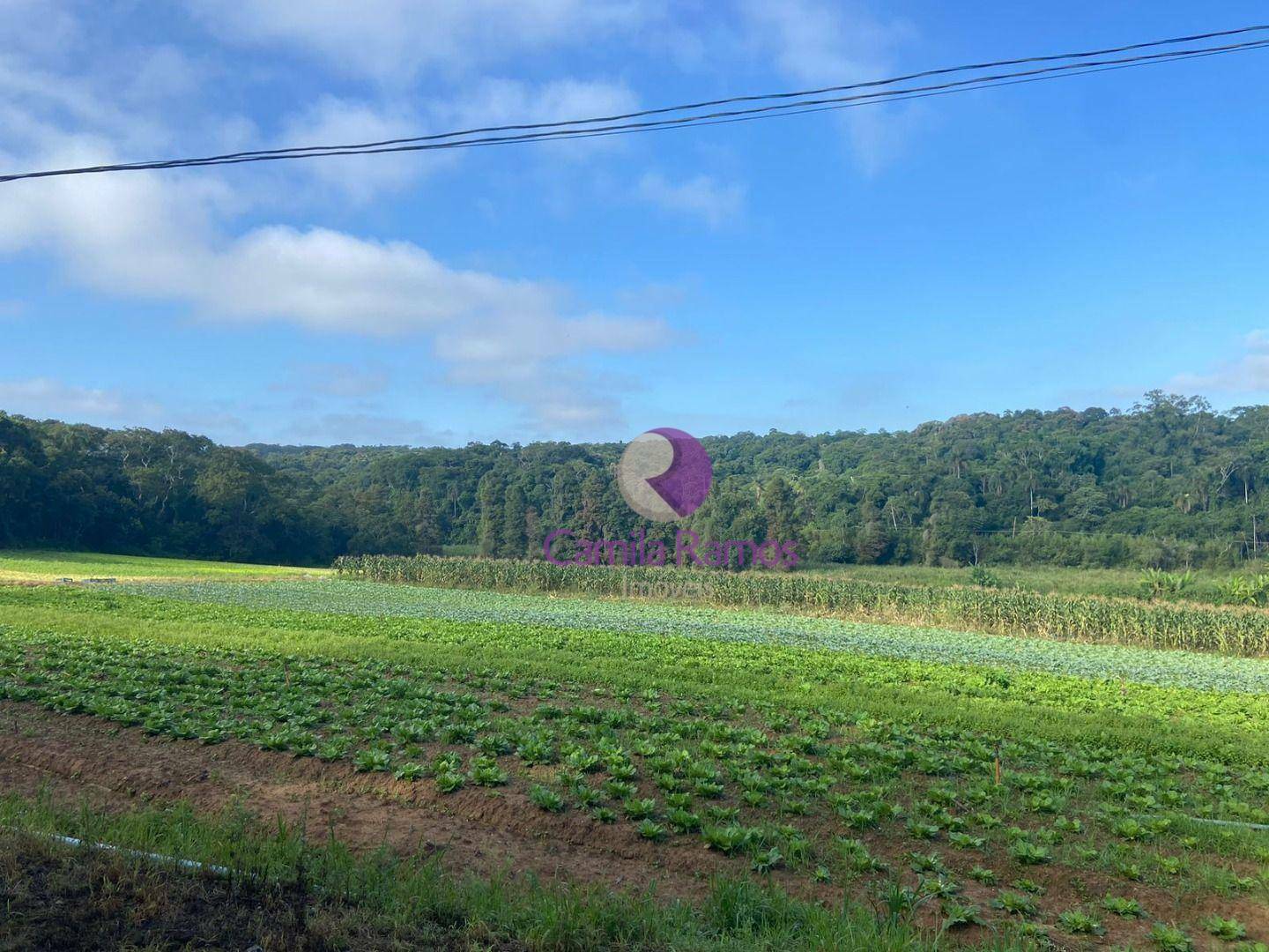 Terreno à venda, 193600M2 - Foto 4