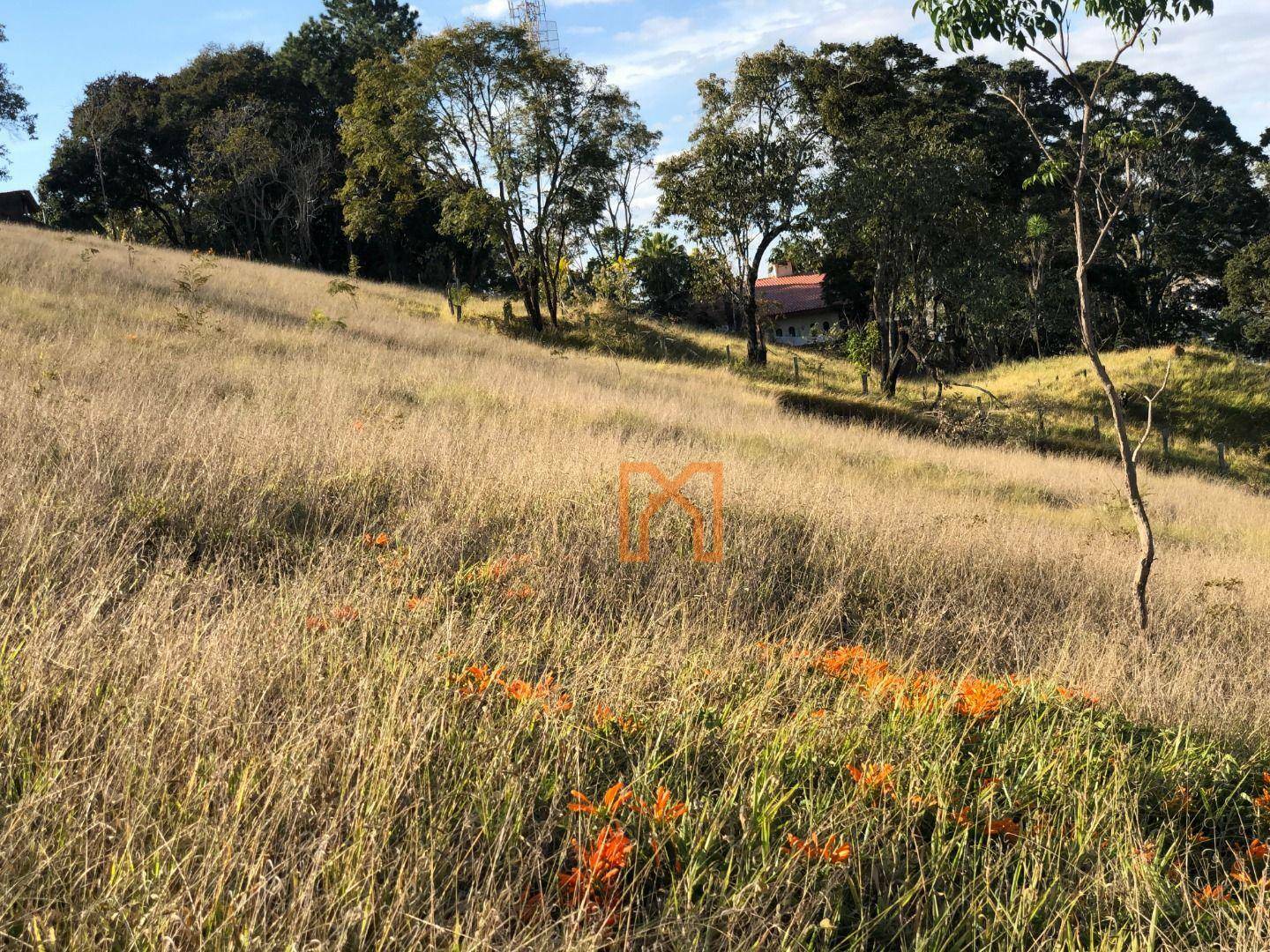 Terreno à venda, 1120M2 - Foto 18