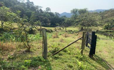 Fazenda à venda com 1 quarto, 210000m² - Foto 5