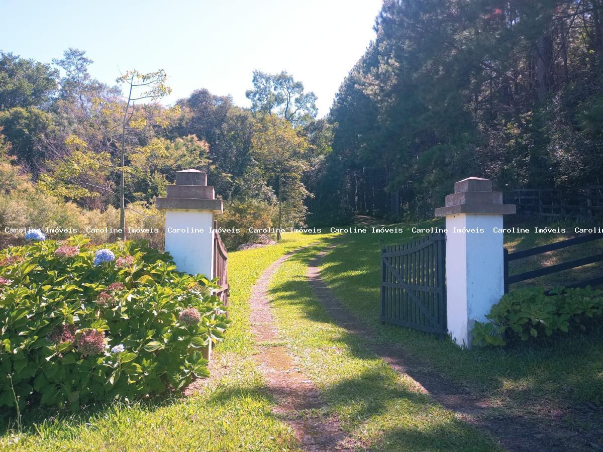 Fazenda-Sítio-Chácara, 80 hectares - Foto 4