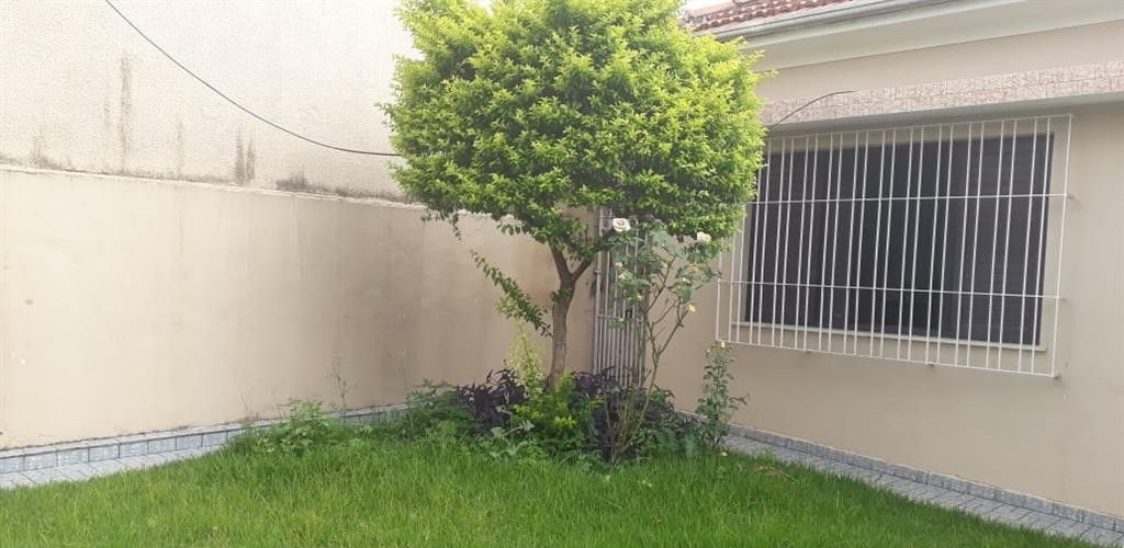 Terreno à venda, 300m² - Foto 3