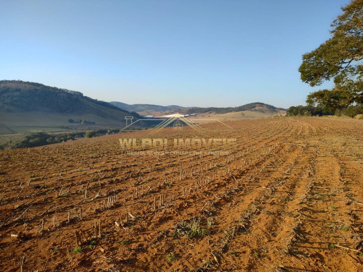 Fazenda à venda, 4m² - Foto 5