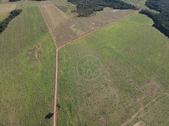 Fazenda à venda, 18270000M2 - Foto 7