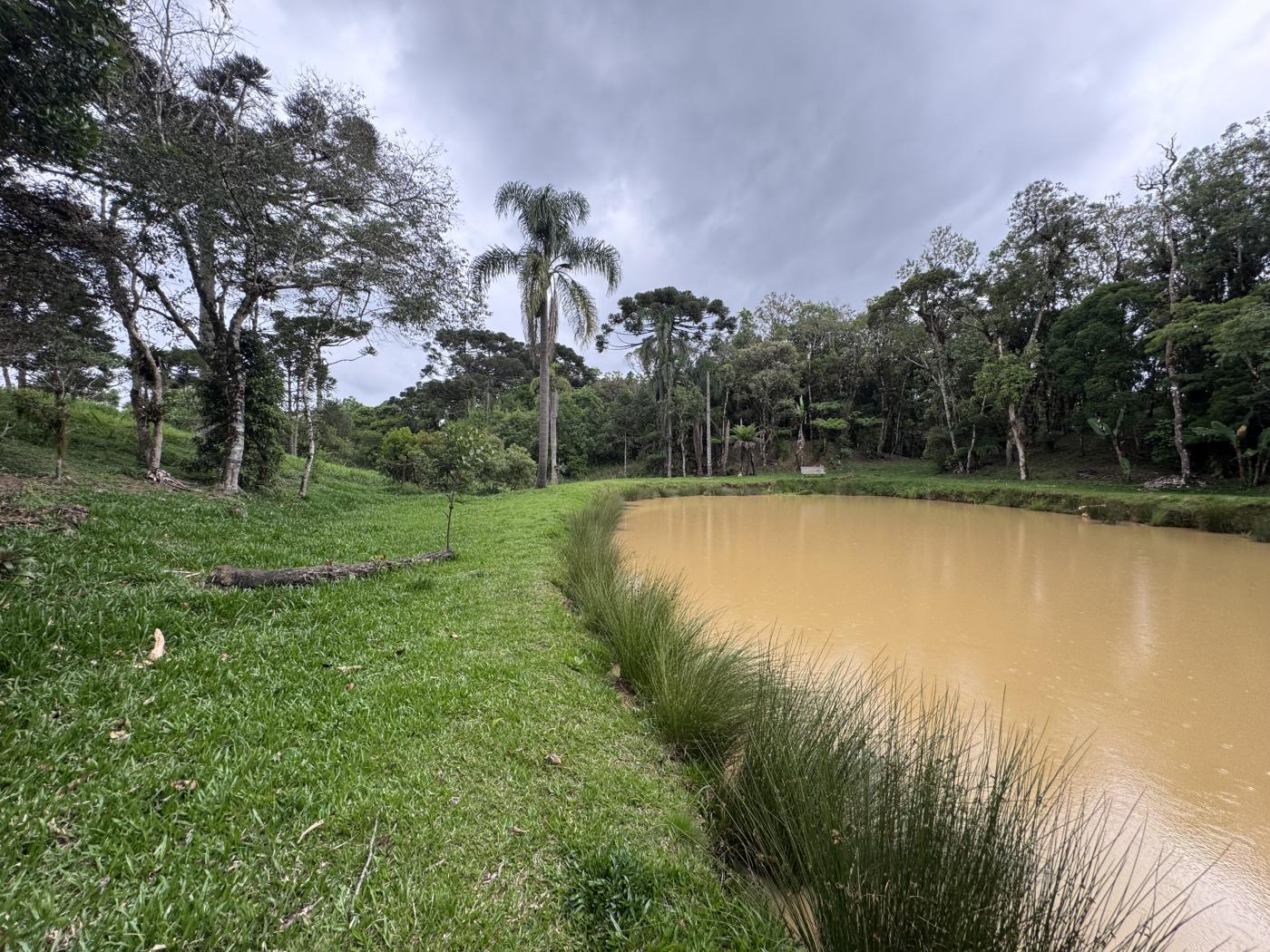 Chácara à venda com 4 quartos, 15000m² - Foto 57
