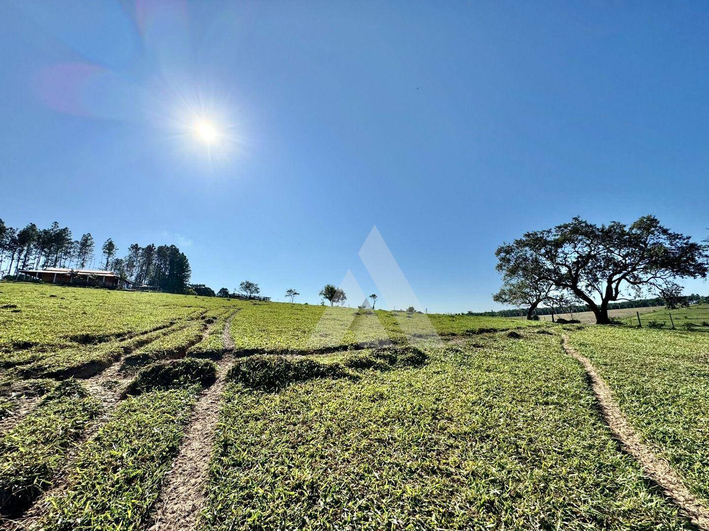 Sítio, 16 hectares - Foto 28