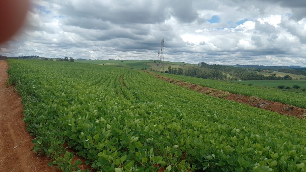 Fazenda à venda, 1815000M2 - Foto 3