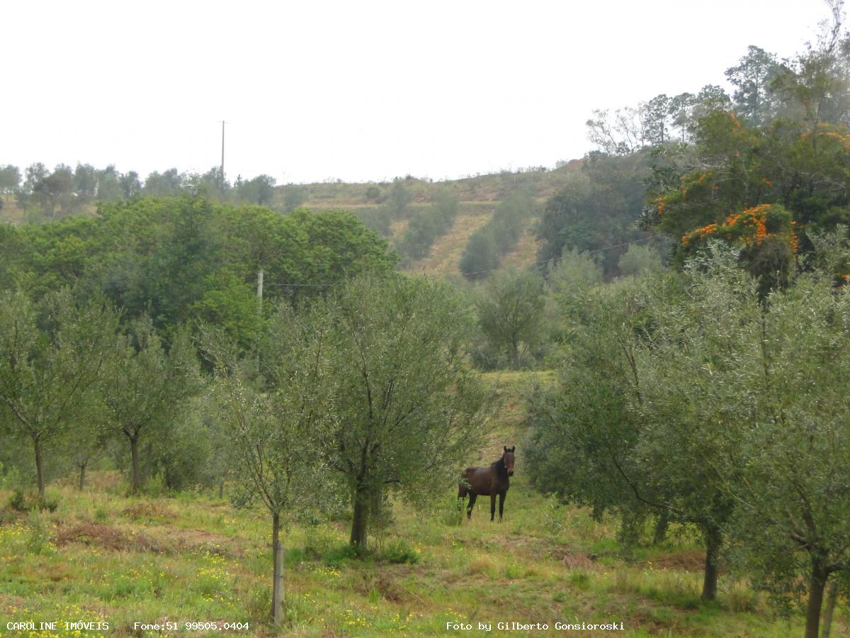 Fazenda à venda com 6 quartos, 493400m² - Foto 22