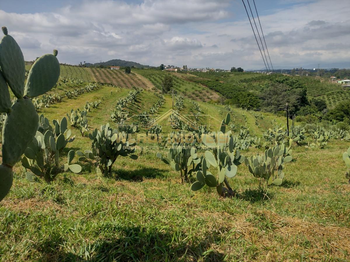 Fazenda-Sítio-Chácara, 5 m² - Foto 4