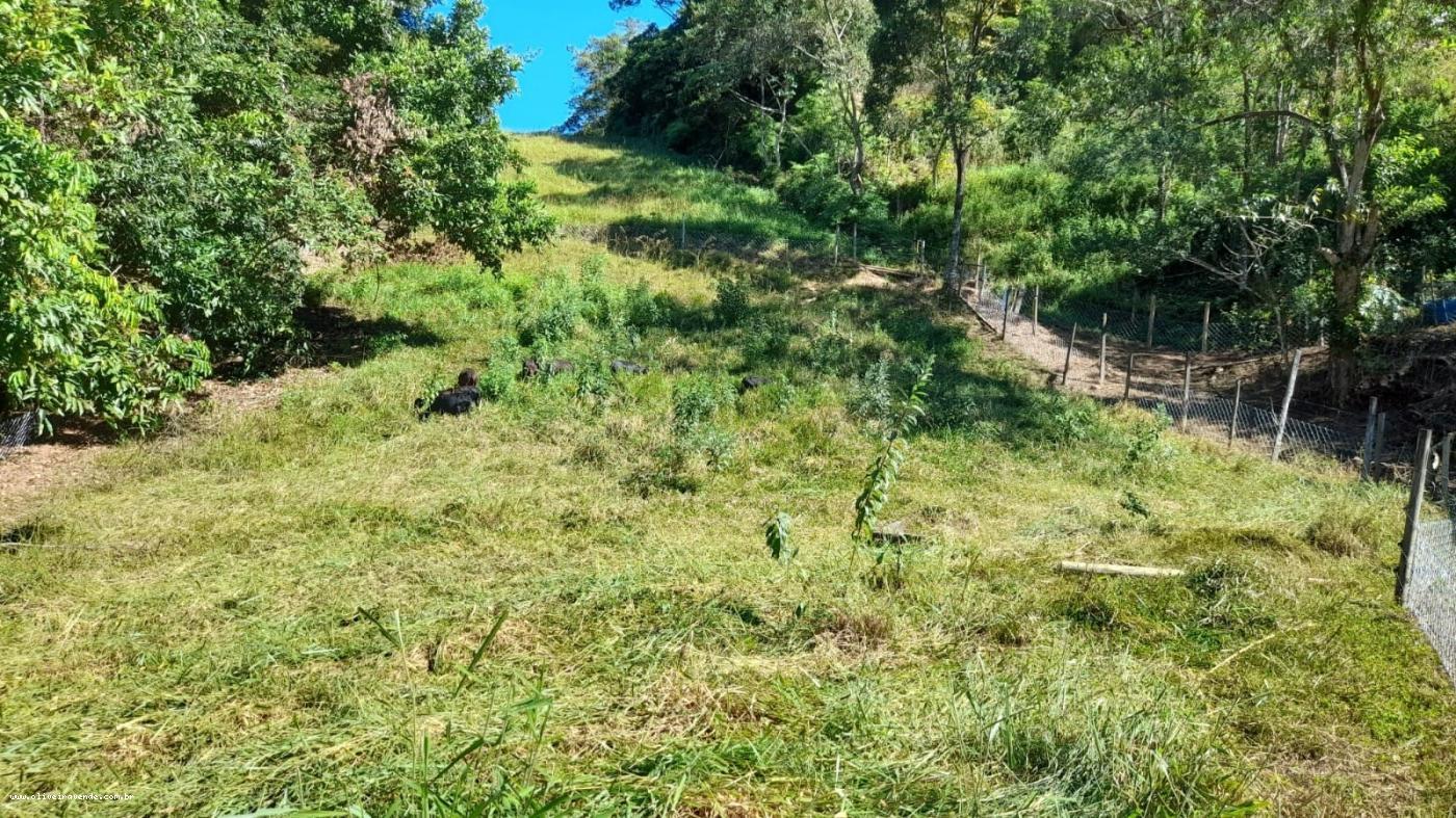 Fazenda à venda, 96000m² - Foto 8