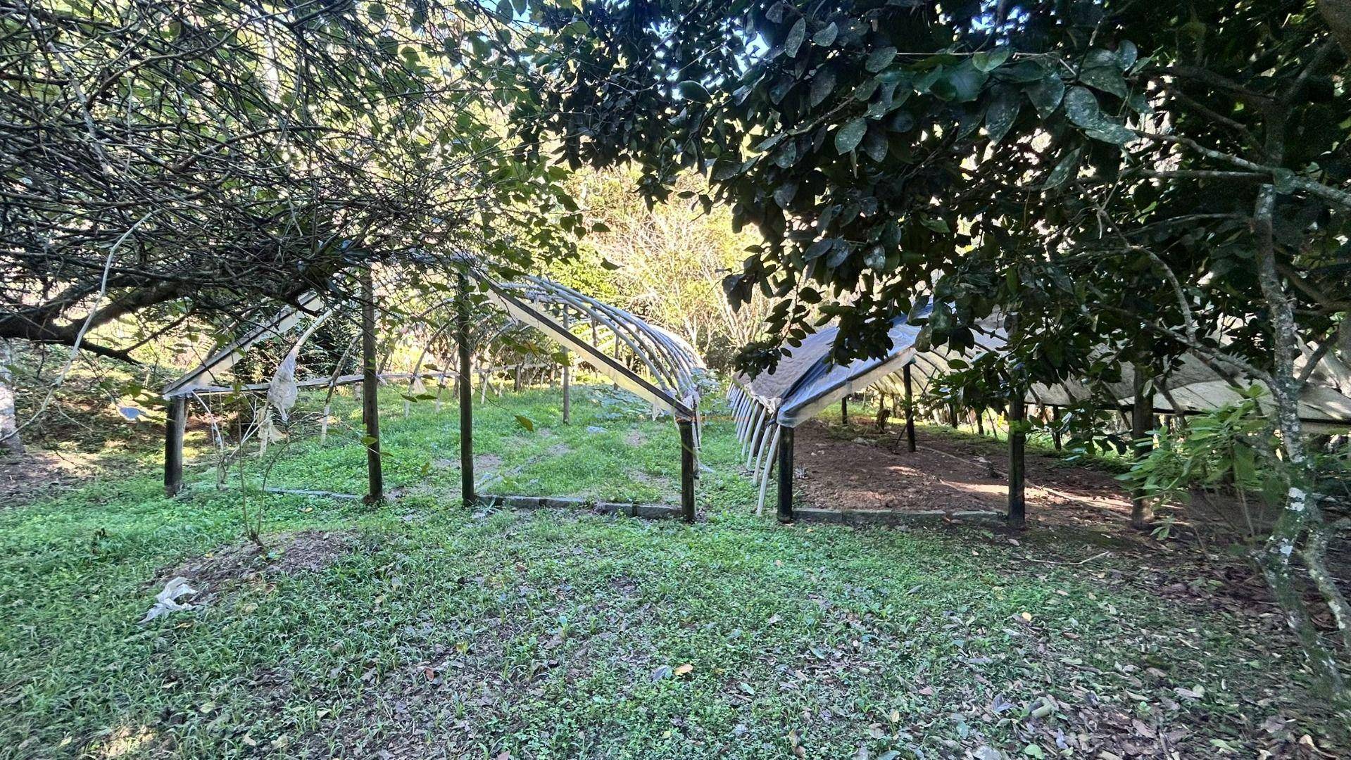 Sítio, 14 hectares - Foto 25