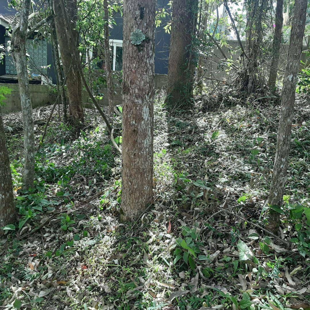 Loteamento e Condomínio à venda, 800M2 - Foto 14