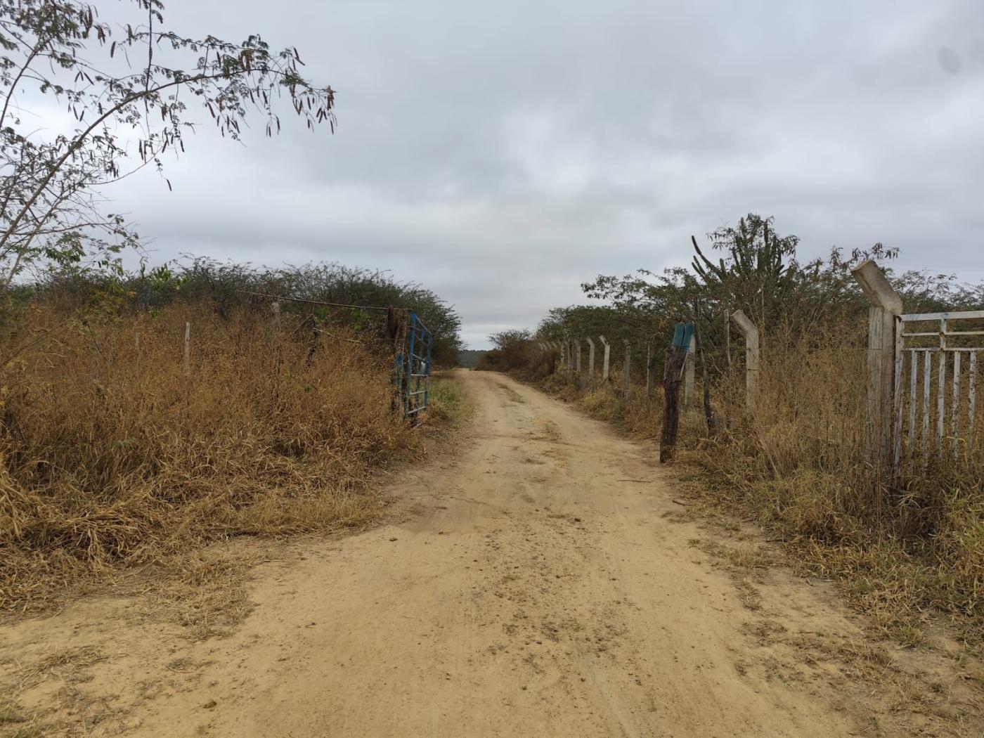 Terreno à venda, 2500m² - Foto 5