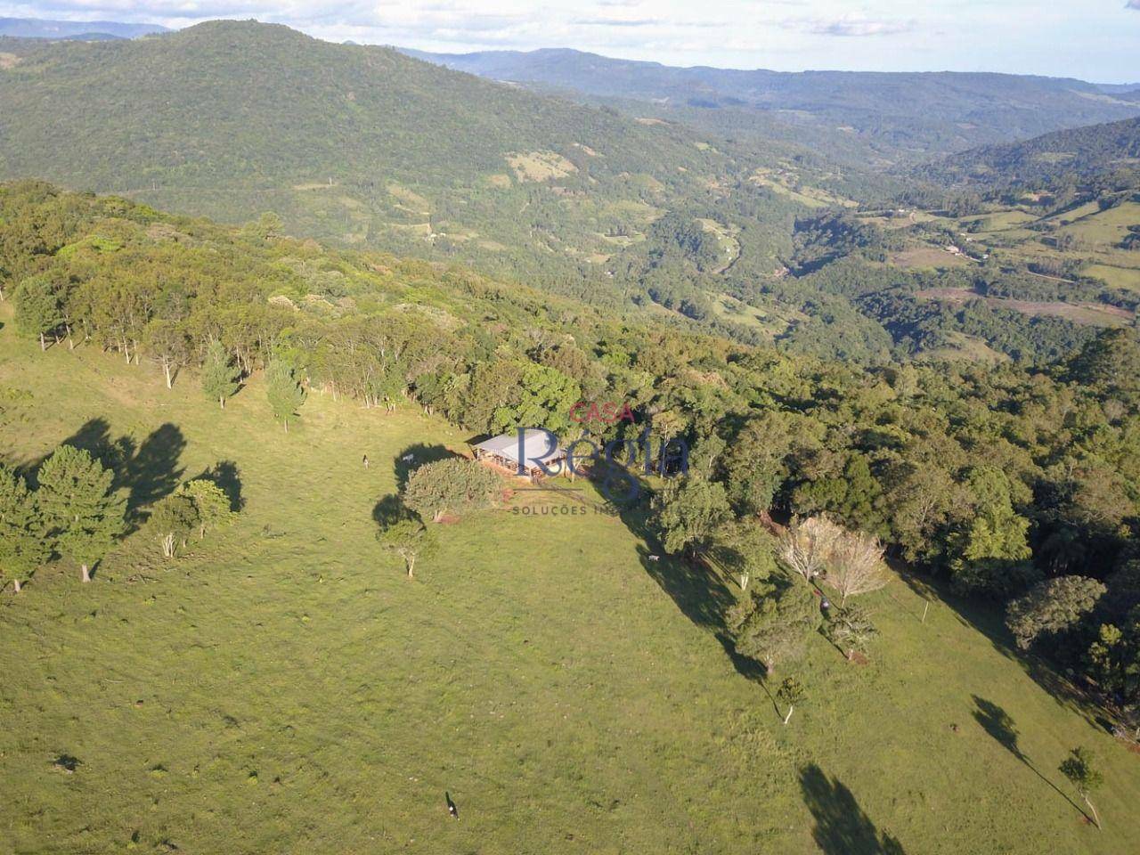 Sítio à venda com 3 quartos, 312229M2 - Foto 6