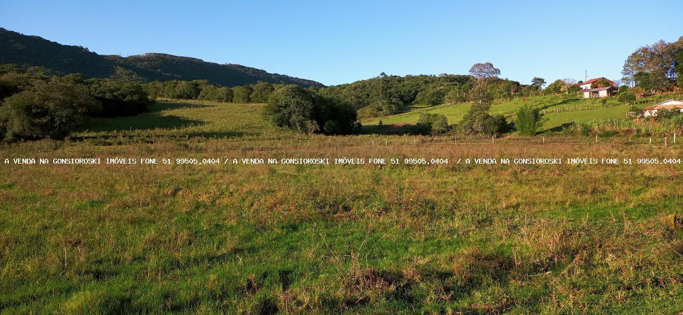 Fazenda à venda com 3 quartos, 55000m² - Foto 22