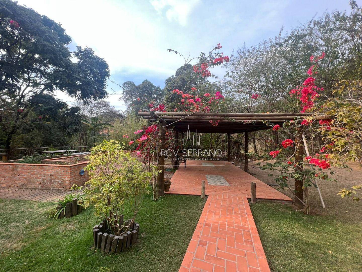 Chácara, 3 quartos, 2 hectares - Foto 5